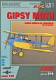 Biplane De Havilland Gipsy Moth