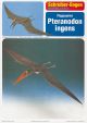 Pterosauria Pteranodon ingens