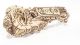 UGEARS Hurdy-Gurdy