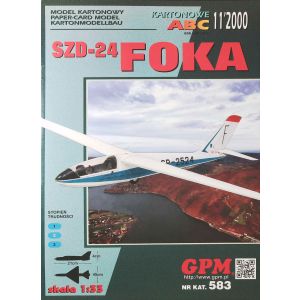 Polish glider SZD-24 Foka